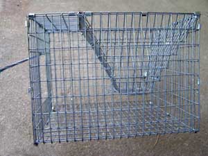 Jenkins trap.