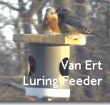 Van Ert Design, marketed by Jenna Bird