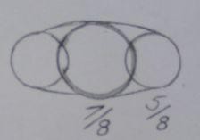 Oval hole for Violet-Green Swallows from Malcolm Rodin