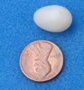 Violet-green Swallow egg. Photo by Zell LUndberg.